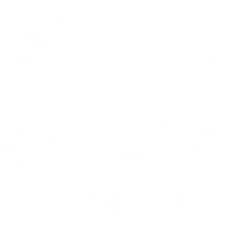 swasthy